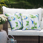 17" x 17" Outdoor Throw Pillow - SET OF 2